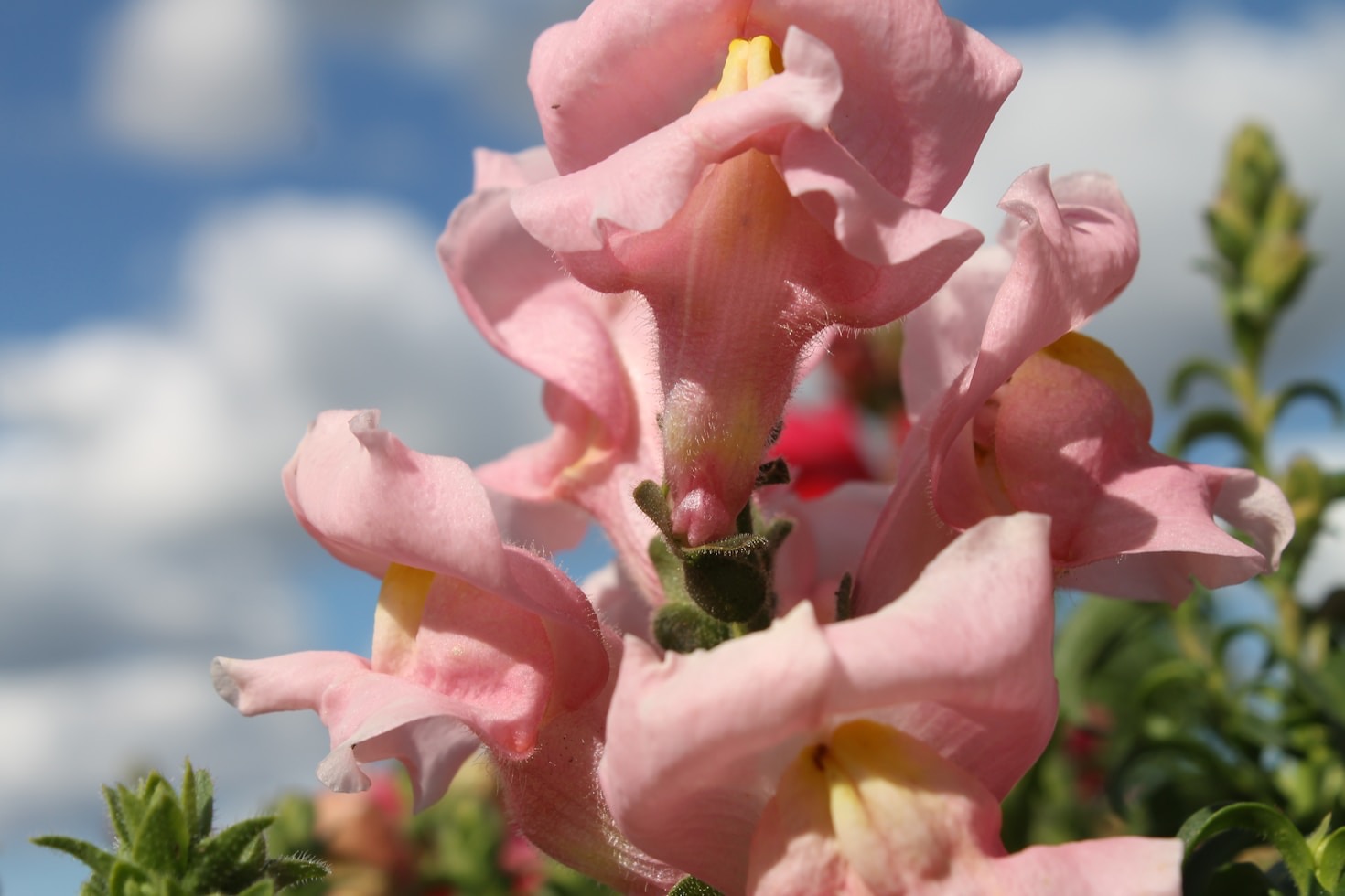 Ancestral Practices: Connecting to Our Roots